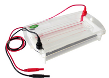 迷你水平電泳槽