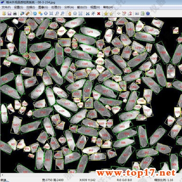 大米外觀品質檢測系統