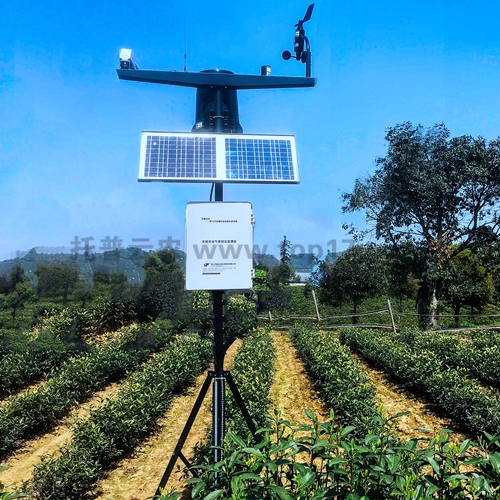 馬鈴薯晚疫病預(yù)警儀