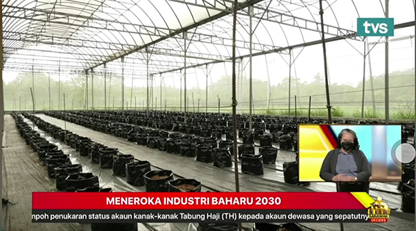 托普云農數字農業解決方案在馬來西亞的應用場景