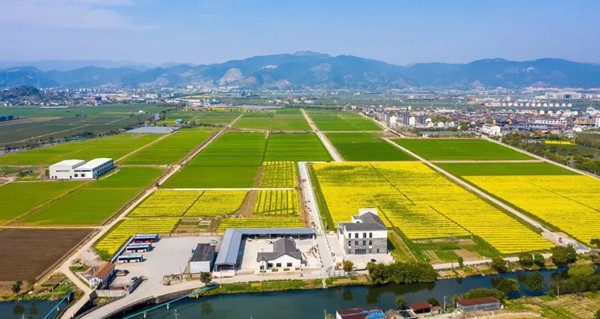 ִ֔rCҕNֲϢܻ