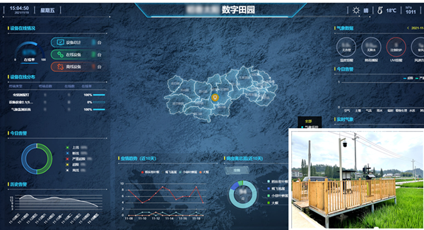 臨安太陽鎮高標準農田