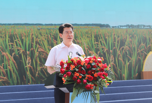 Ƽl(xing)ίӛLqo