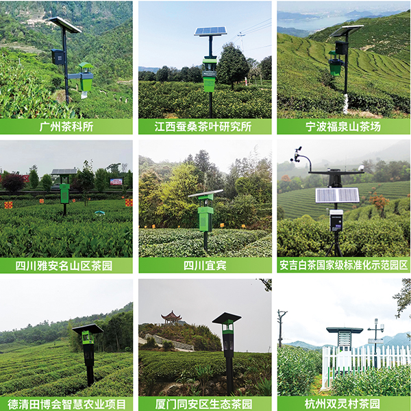 托普云農茶園綠色防控技術應用案例