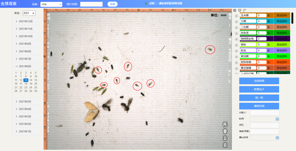 系統識別白背飛虱