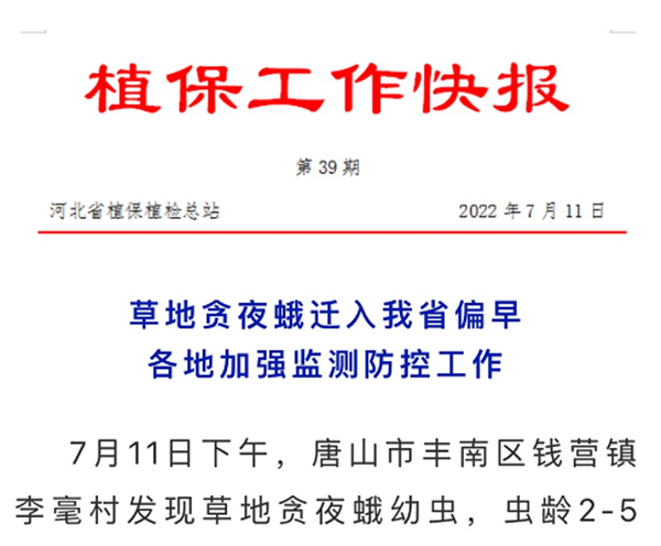 河北省植保植檢總站發布草地貪夜蛾蟲情簡報