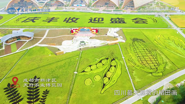 中國農民豐收節主會場航拍圖