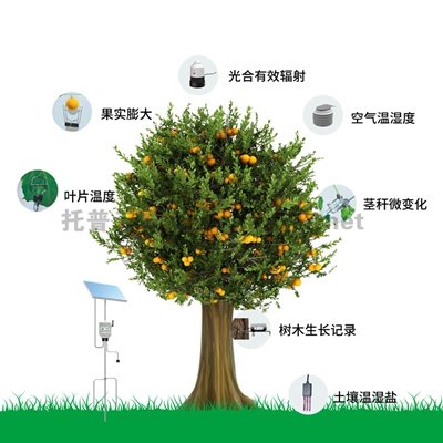 植物生理生態(tài)監(jiān)測(cè)系統(tǒng) TP-ZWSL系列