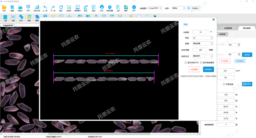 大米外觀對(duì)比